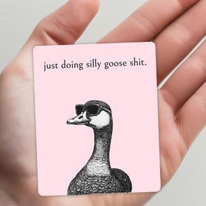 Funny Sticker Silly Goose Sticker Waterproof Sticker Girly Sticker Cool Goose Silly Serious Goose Pink Sticker Funny Gift for Girlfriend Art