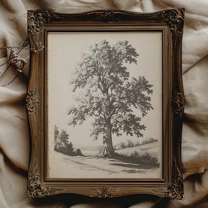 Puede incluir: Una impresión en blanco y negro enmarcada de un gran árbol en un paisaje. El marco ornamentado de estilo antiguo es de color bronce oscuro. La obra de arte representa un dibujo detallado de un árbol con una copa completa, sobre un fondo de colinas y un horizonte distante.