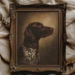 May include: A framed portrait of a German Shorthaired Pointer dog. The dog is brown with white speckled markings on its chest and legs. The dog is wearing a brown collar. The frame is ornate and dark brown.
