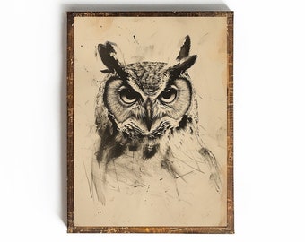 May include: A black and white drawing of an owl with a distressed background. The owl is looking directly at the viewer with its large, round eyes.