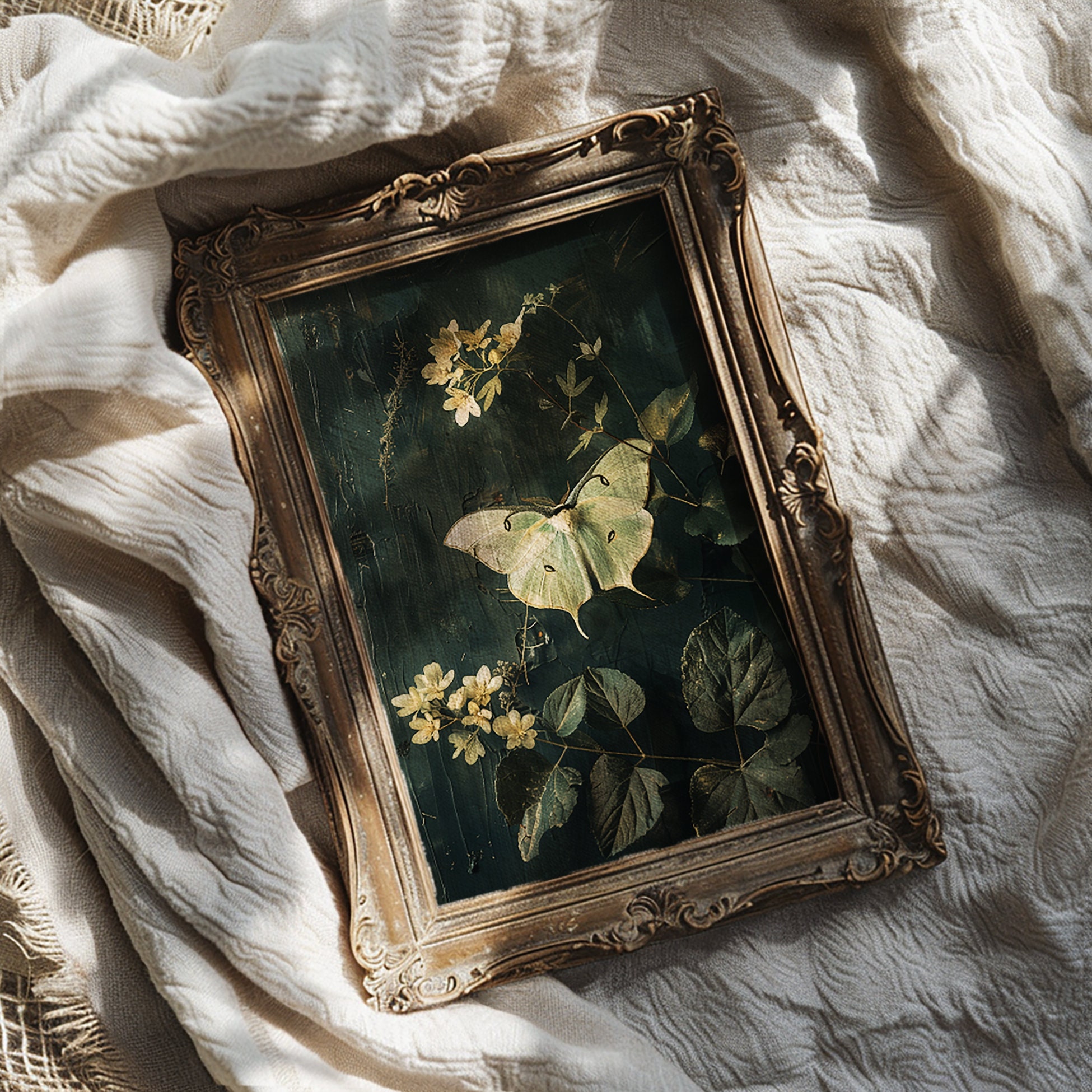 Luna Moth Print | Dark Cottagecore Wall Art | Dark Botanical Prints ...