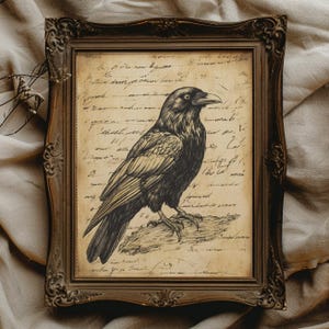 May include: A vintage-style illustration of a black raven perched on a branch. The image is printed on aged paper with handwritten text in the background.
