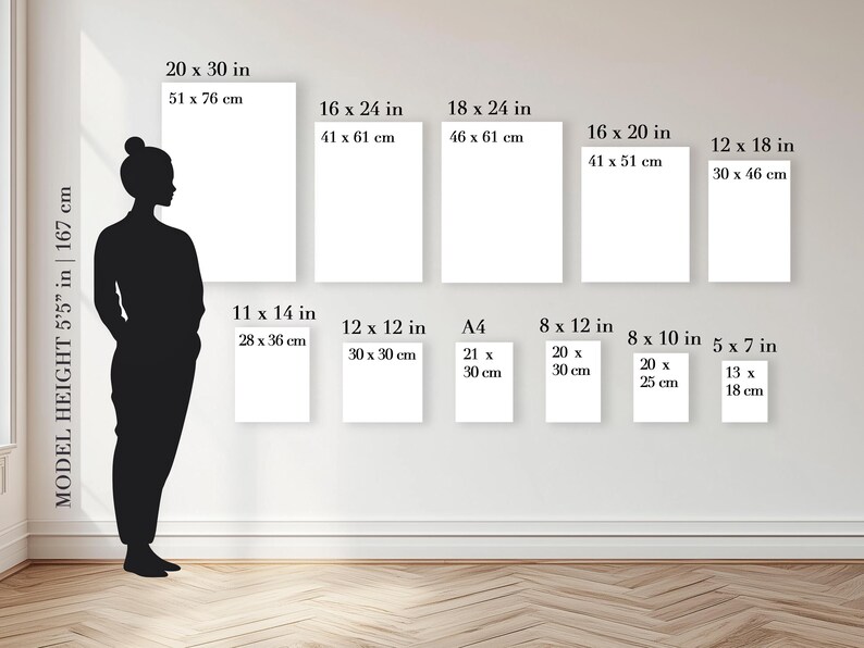 May include: A display of blank rectangular canvases in various sizes, including 20 x 30 inches, 16 x 24 inches, and smaller options. A silhouette of a person stands beside the canvases, with the model's height noted as 5'5".