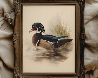 May include: A framed print of a Wood Duck in a vintage-style frame. The duck has a distinctive green and white head, a red beak, and a dark body. The artwork depicts the duck in water with tall grass in the background. The frame is ornate with a dark brown finish.
