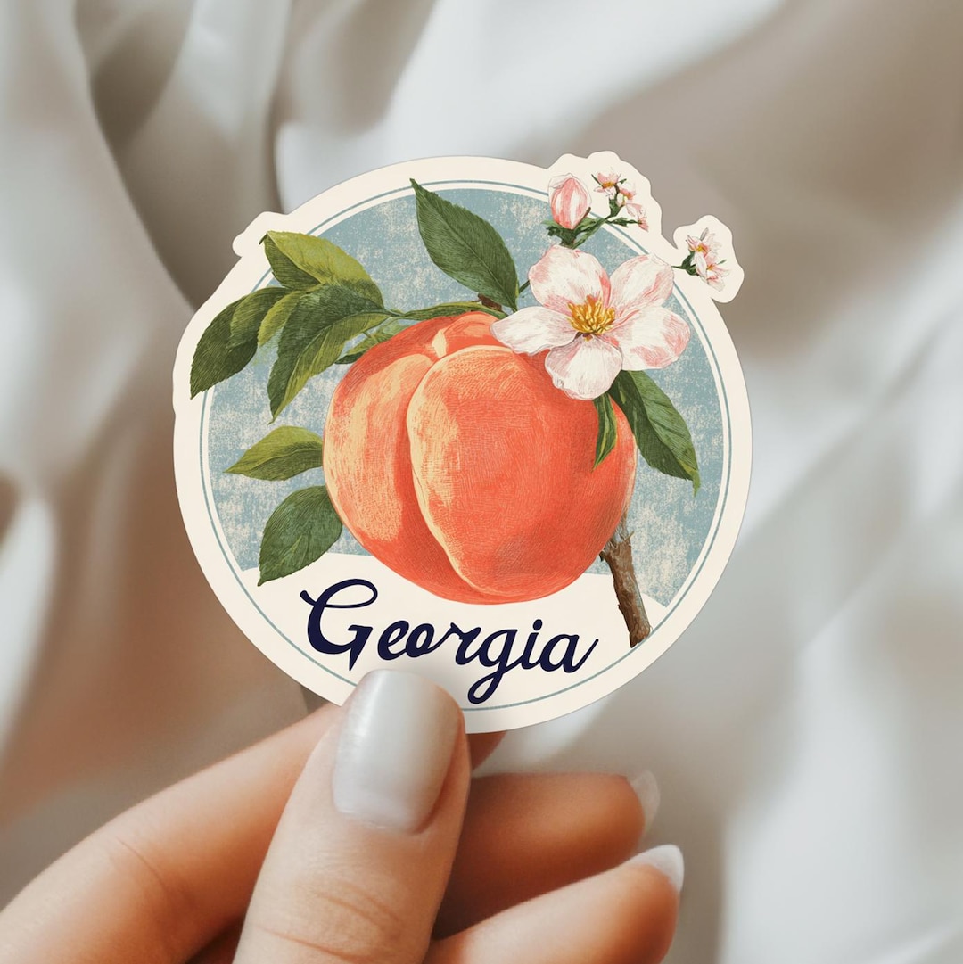 Georgia Sticker USA Sticker Travel Stickers Gift for Traveler Gift ...