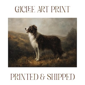 Border Collie Wall Art Gift for Dog Dad Gift for Dog Mom Border Collie Owner Gift Custom Pet Art Vintage Herding Dog Art Gift for Farmer