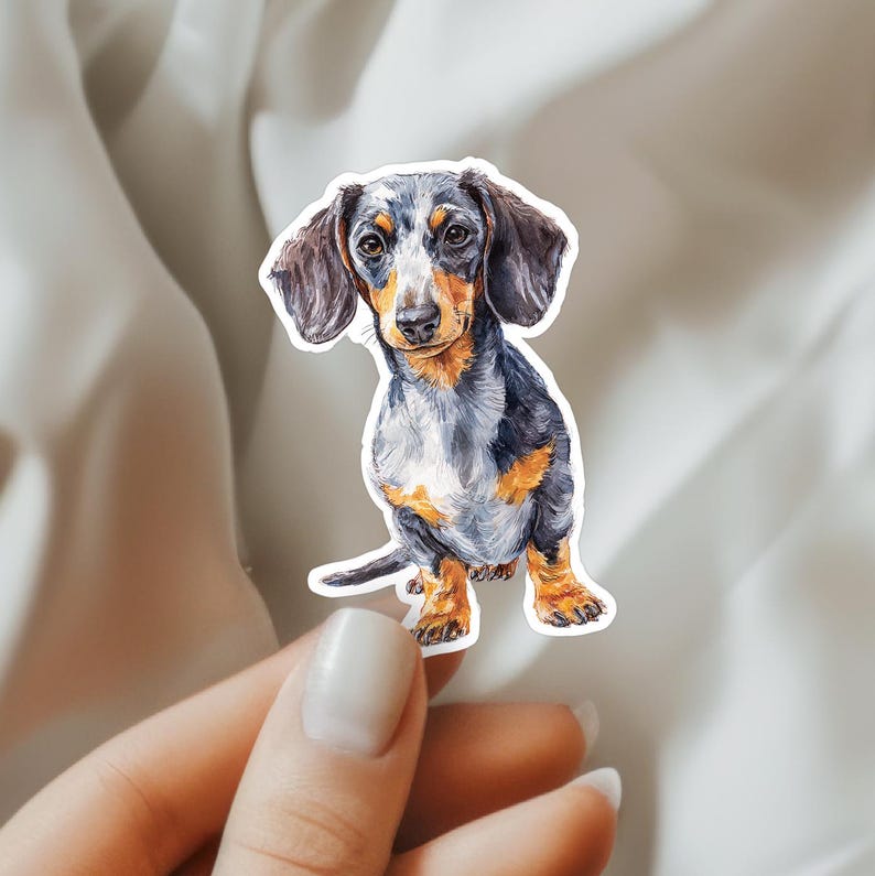 Puede incluir: Una pegatina troquelada con una ilustraci&oacute;n en acuarela de un perro salchicha de pelaje arlequ&iacute;n. El perro presenta un pelaje con manchas negras, grises y fuego, orejas largas y ca&iacute;das, y una cola corta. Ilustraci&oacute;n de estilo realista.