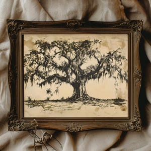 Live Oak Tree Illustration Cottagecore Tree Print Spanish Moss Art Southern Living Wall Decor Vintage Botanical Print Dark Academia Decor