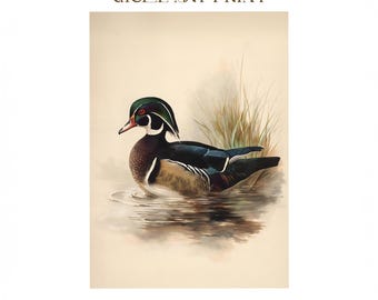May include: Giclee art print featuring a detailed illustration of a Wood Duck in water. The duck has a colorful plumage with a green head, red beak, and brown and black body. The print includes the text "GICLEE ART PRINT" and "PRINTED & SHIPPED".