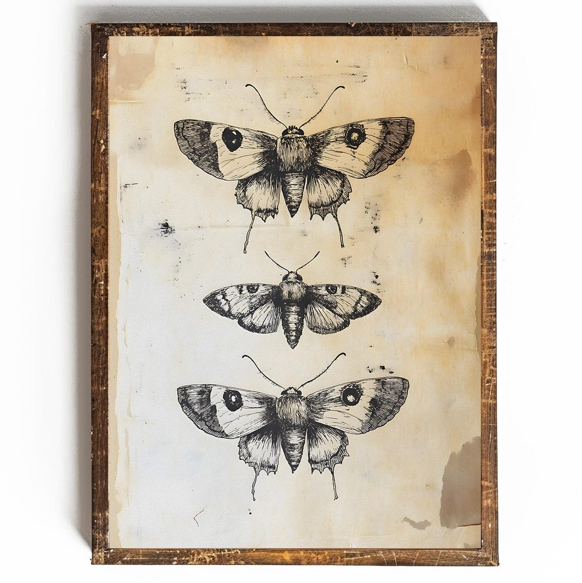 Vintage Moth Printable Butterfly Print Dark Academia Decor Cottagecore ...