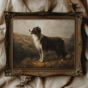 Border Collie Wall Art Gift for Dog Dad Gift for Dog Mom Border Collie Owner Gift Custom Pet Art Vintage Herding Dog Art Gift for Farmer