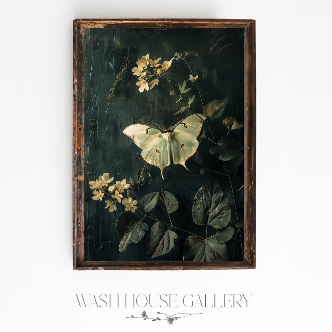 Luna Moth Print | Dark Cottagecore Wall Art | Dark Botanical Prints ...