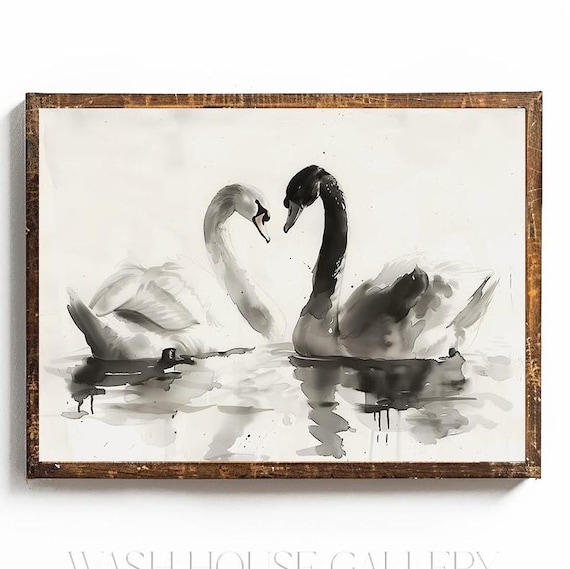 白鳥の壁アート ブラックスワンの印刷可能 白鳥の水彩画 黒と白の壁