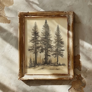 Redwood Tree Print Vintage Redwood Tree Illustration Giant Redwood Forest Printable Cottagecore Entryway Wall Art California Redwood Artwork