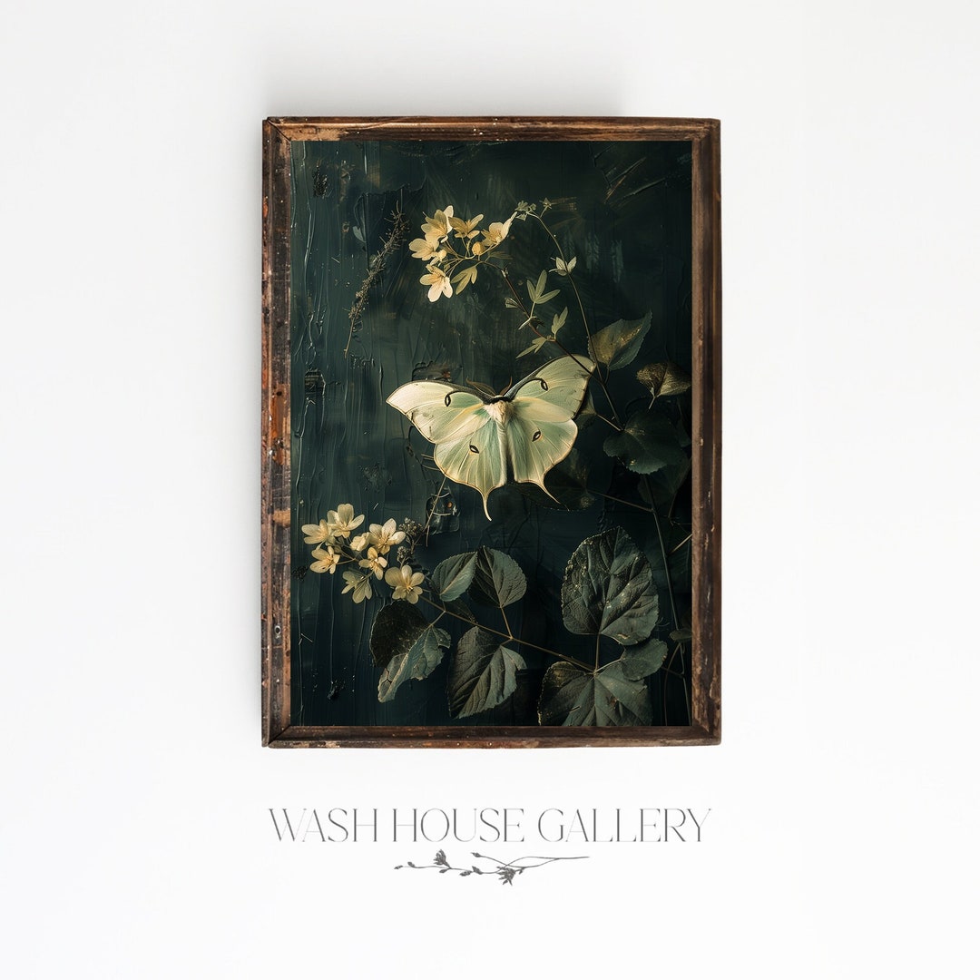 Luna Moth Print | Dark Cottagecore Wall Art | Dark Botanical Prints ...