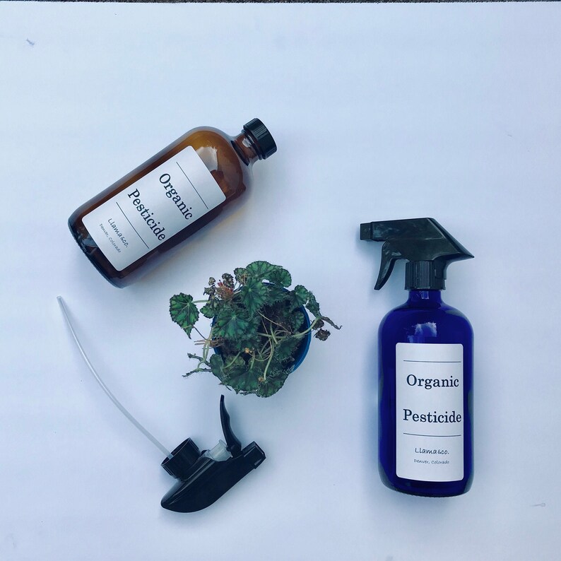 16oz Organic fungus gnat killer/houseplant pests mealy bugs Etsy