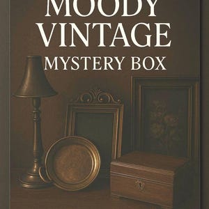 Moody Vintage Home Decor Mystery Box | Vintage Mystery Box | Home Decor Mystery Box | Gothic Mystery Box | Dark Academia Mystery Box