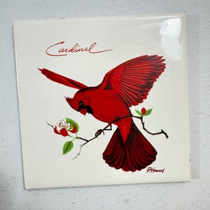 Placa de pared con salvamanteles de cerámica con diseño de pájaro cardenal de Screencraft P. Howard, 6 x 6