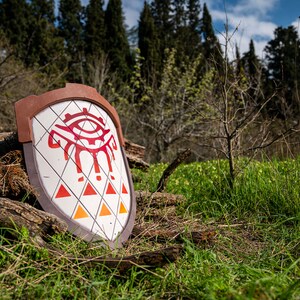May include: A white shield with a red and orange eye design, surrounded by a brown border. The shield is lying on the ground in a grassy area with trees in the background.