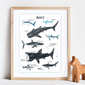 Tiburones ? Giclee impresión DinA3, cartel, impresión, impresión de arte, impresión de arte, cartel de animales, tiburones, animales, mar