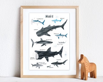 Haie | Giclée Print DinA3, Plakat, Druck, Kunstdruck, Art Print, Tierposter, Haie, Tiere, Meer