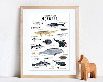 Inhabitants of the North Sea | Giclée print DinA3, fine art print, animals, poster, print, art print, animal posters, children, parents, animals, sea, ocean