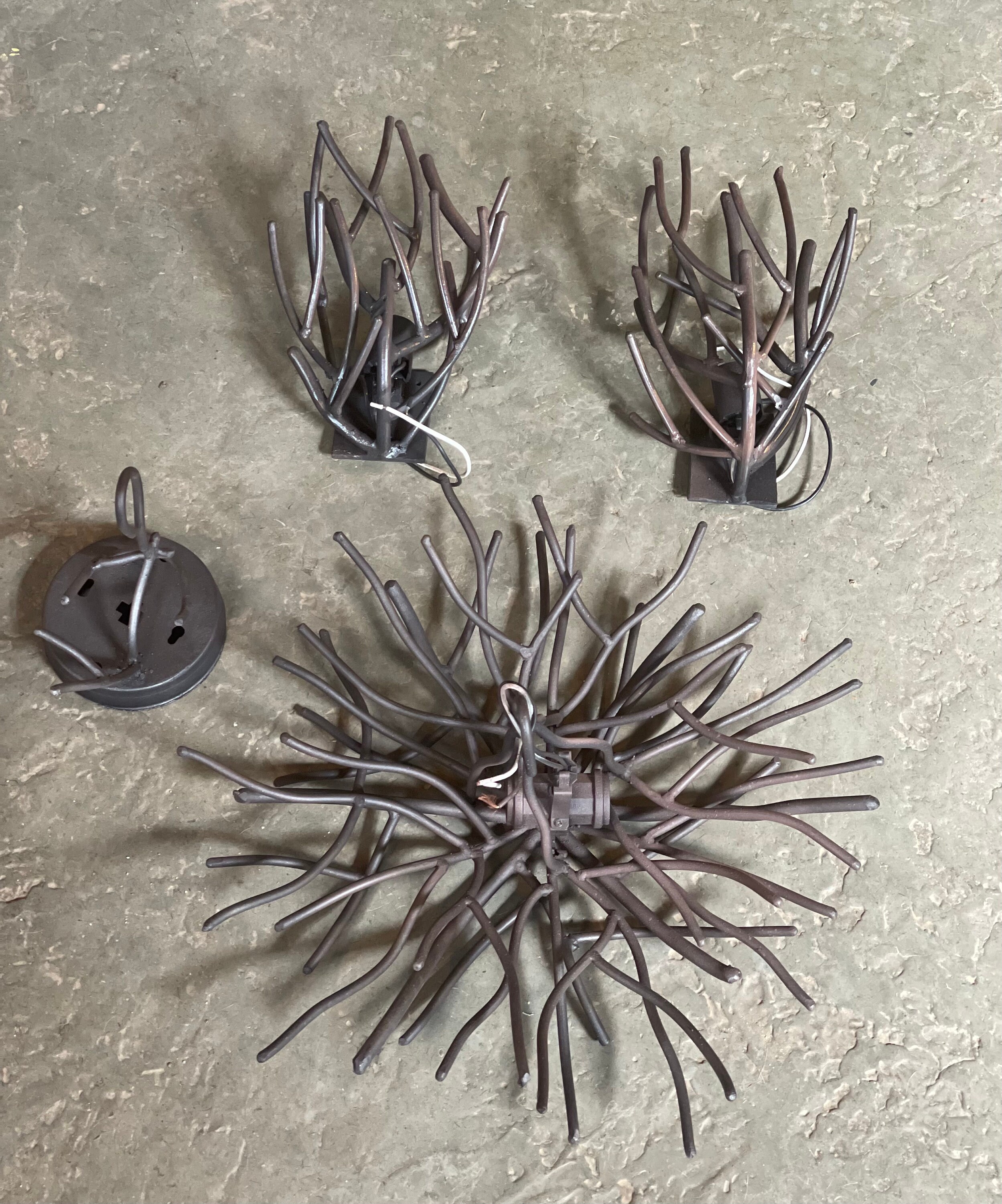 Steel Bird Nest Light Natural Organic Forest Etsy