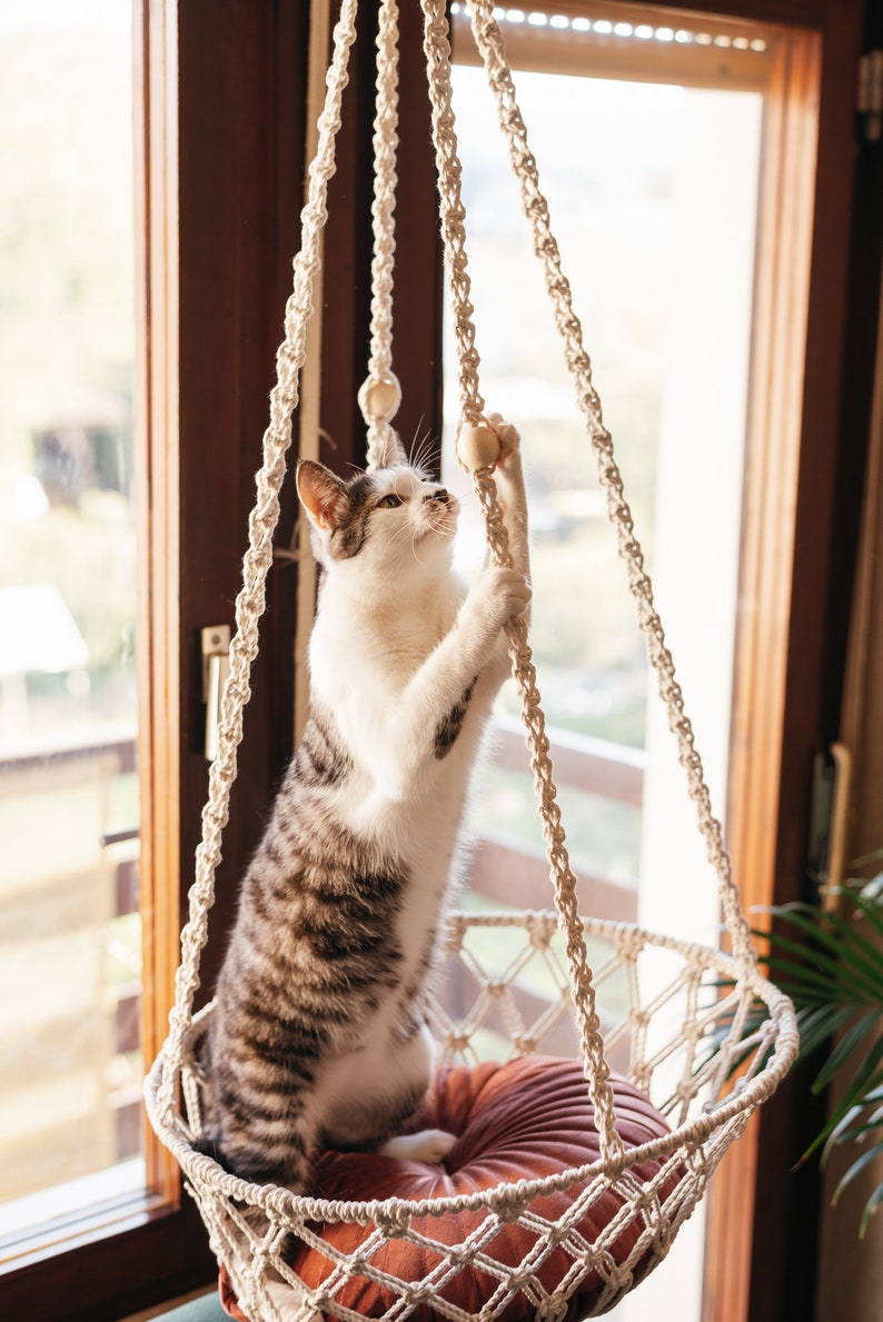 Cat Hammock PDF Pattern Macrame Cat Bed TUTORIAL Etsy