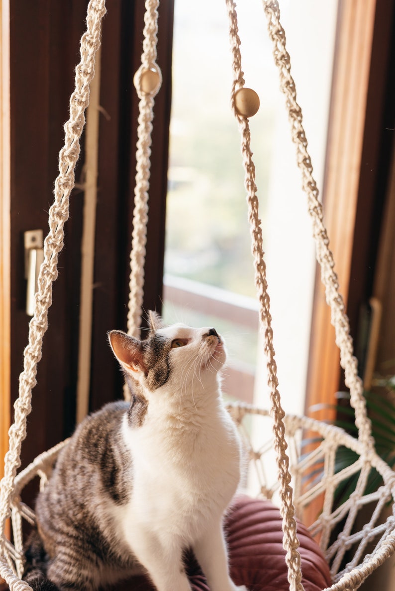 Cat Hammock PDF Pattern Macrame Cat Bed TUTORIAL Etsy Australia