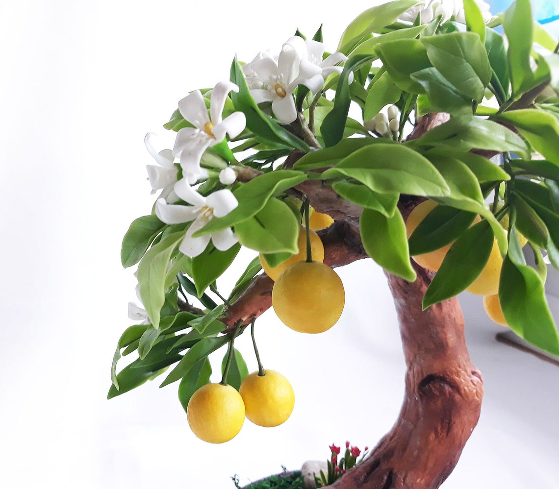 Artificial Bonsai TreeArtificial Bonsai Artificial Orange Etsy