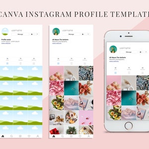 May include: A mockup of an Instagram profile page with a grid of 18 images. The profile picture is a cartoon of a person with green hair. The profile name is "All About The Aesthetic" and the bio says "Beautiful photography". The grid of images includes photos of flowers, succulents, cupcakes, and other aesthetically pleasing objects.