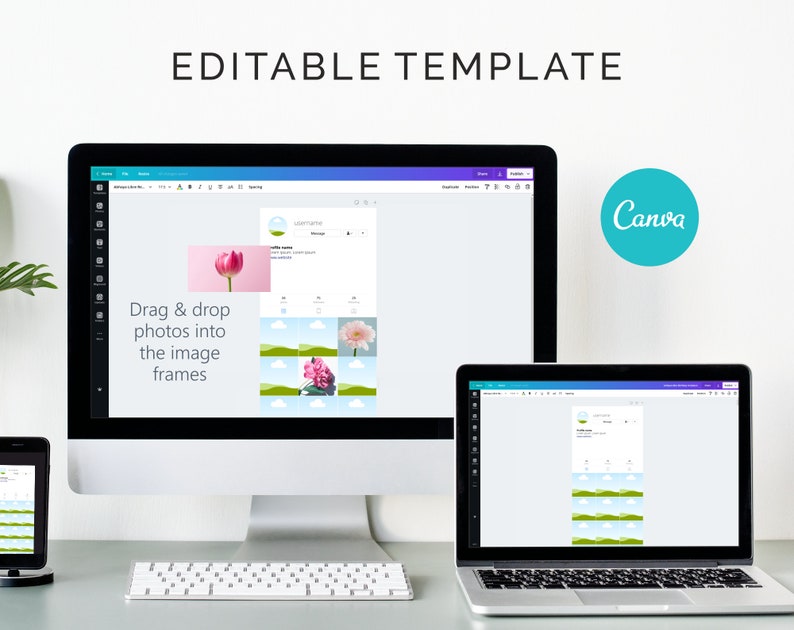May include: A computer screen displaying a Canva template with the text "Drag & drop photos into the image frames". The template has a pink flower, a white flower, and a pink flower in the image frames. The Canva logo is in the upper right corner of the screen.