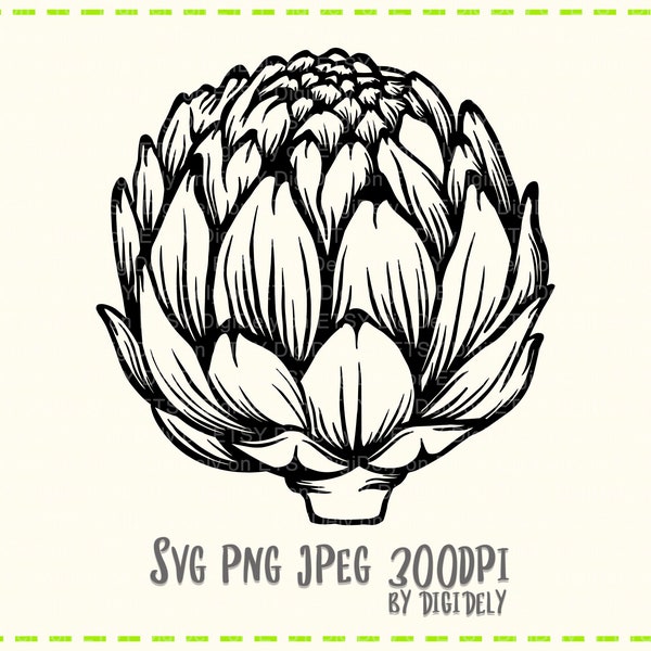 Digital  — Artichoke — Illustration in SVG, PNG, JPEG (for prints, collages, tattoo sketches, coloring page)