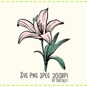 Cyfrowe — Lilia — Ilustracja w formatach SVG, PNG, JPEG (do wydruków, kolaży, szkiców tatuaży)