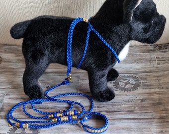 Laisse pour chien, harnais pour chien, accessoires pour chiens, 100% fait main, pour chien, collier à anneaux