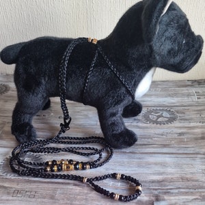 Correa para perros, arnés para perros, accesorios para perros, 100% hecho a mano, para perro, collar con anilla imagen 1