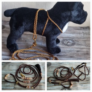 Dog leash, dog harness, dogs accessories, 100% hand made, for dog, ring collar