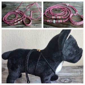 Dog leash, dog harness, dogs accessories, 100% hand made, for dog, ring collar