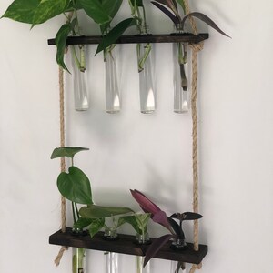 Hanging Propagation Station 8 Slot Live Plant Cutting Propagation Rope ...