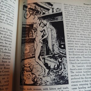 May include: Black and white illustration of a nude woman in a kitchen with a kitten and toads. The image is inspired by De Lancre for the Witchcraft Museum at Bayonne, France.