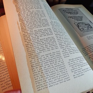 Encyclopedia of Witchcraft and Demonology by Rossell H. Robbins (1959) - First Edition! Occult/ Magic image 13