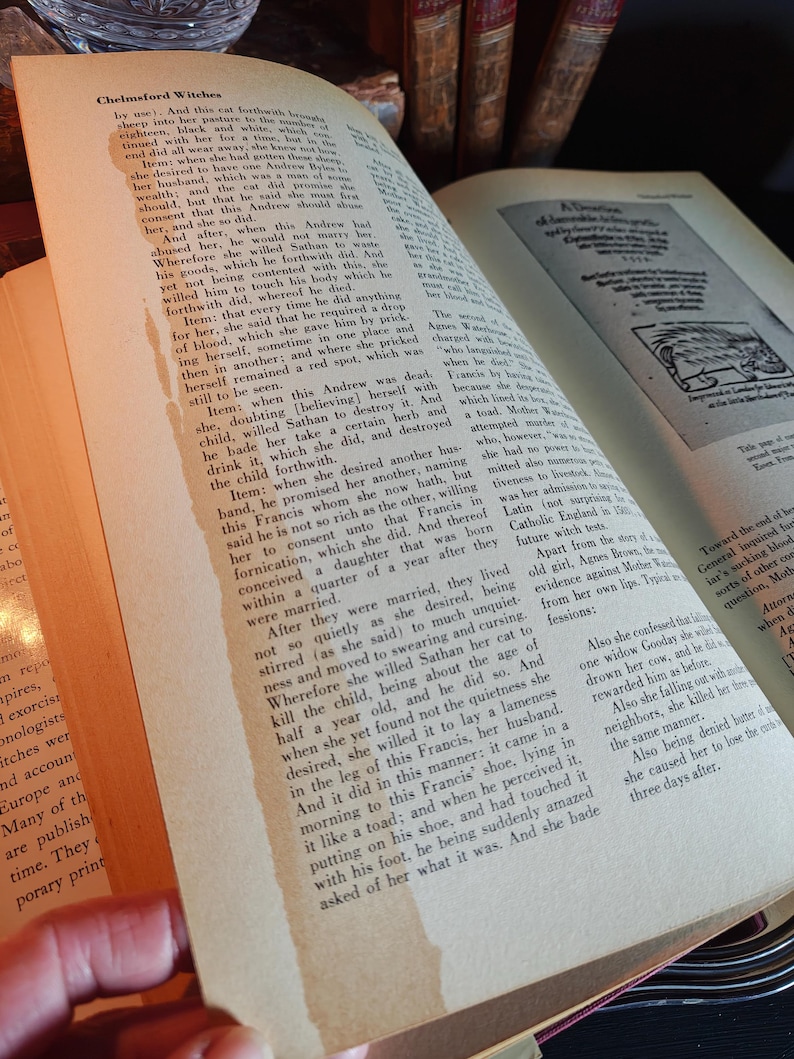 Encyclopedia of Witchcraft and Demonology by Rossell H. Robbins (1959) - First Edition! Occult/ Magic image 13