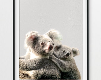 Baby Koala Print, Girl Nursery Decor, Boy Nursery, Koala Nursery, Koala Gifts, Australian Animal Print, Koala Poster, Nursery Room Ideas