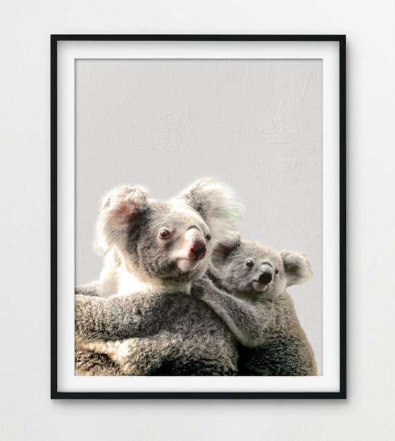 koala nursery decor for baby girl