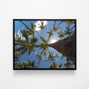 Palm Tree Print, Beach Wall Art, Hawaii Decor Poster, Palm Tree Photography, Palm Tree Photo, Printable Art, Minimalist Print, Coastal