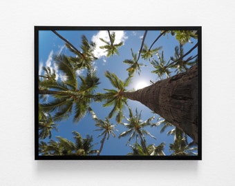 Palm Tree Print, Beach Wall Art, Hawaii Decor Poster, Palm Tree Photography, Palm Tree Photo, Printable Art, Minimalist Print, Coastal