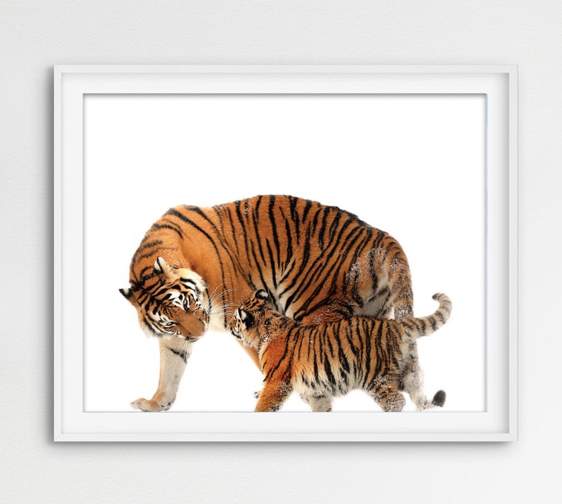 Tiger Family Print. Baby Tiger Wall Art. Boy Nursery Tiger. Woodland