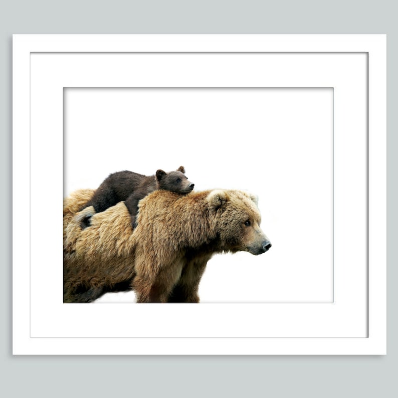 May include: A brown bear with a smaller brown bear cub riding on its back. The bears are walking to the right, against a white background.