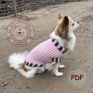 Könnte beinhalten: Ein kleiner, weißer Hund, der einen rosa-schwarz gestreiften, gehäkelten Pullover trägt. Der Hund sitzt auf einer braunen, schmutzigen Oberfläche. Das Bild enthält einen roten Kreis mit dem Text "Drea's Saihoubako homemade" und den Text "PDF" in Braun.