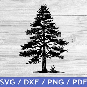Pine Tree SVG Cut Out / Forest Cricut Design / Tree T Shirt Design / Laser File / Sublimation Print / SVG Stencil / Tattoo